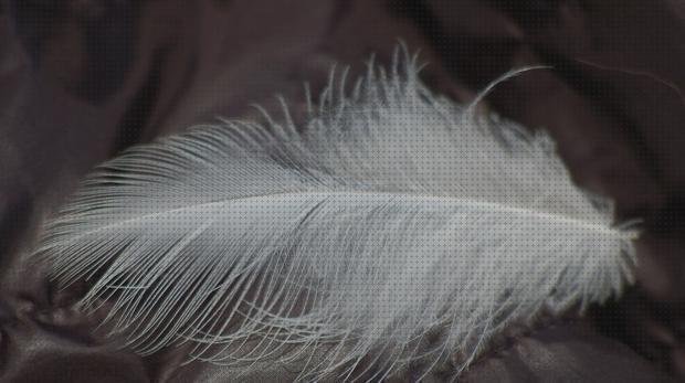 Las mejores marcas de plumas mantas edredones de plumas alergias