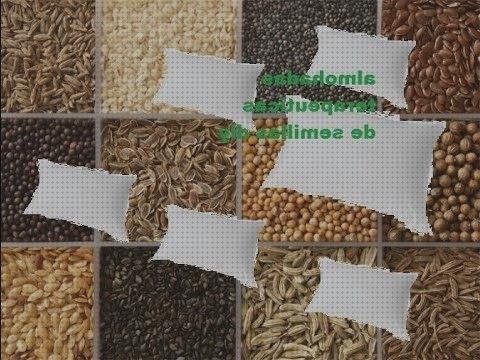 Mejores 13 almohadas semillas bajo análisis